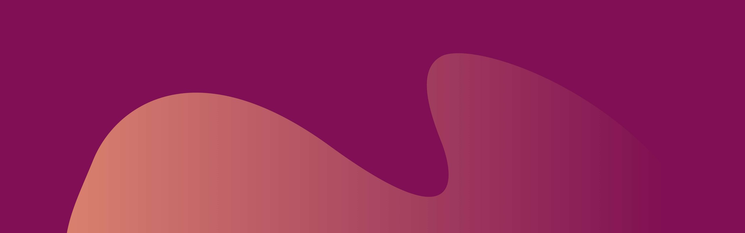C&oacute;mo usar una VPN